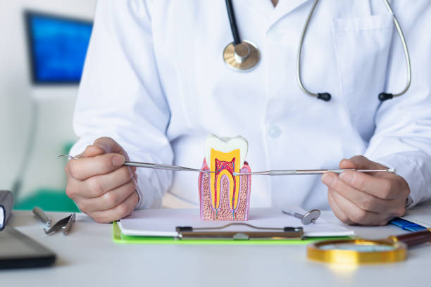 Best Emergency Treatment for Toothache in Forest Lake, IL